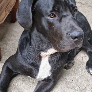 Meet your Posher, Pamela